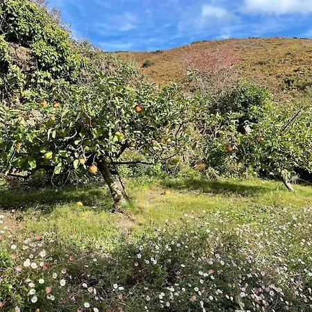 Ferienhaus Grande Maison Vue Exceptionnelle *