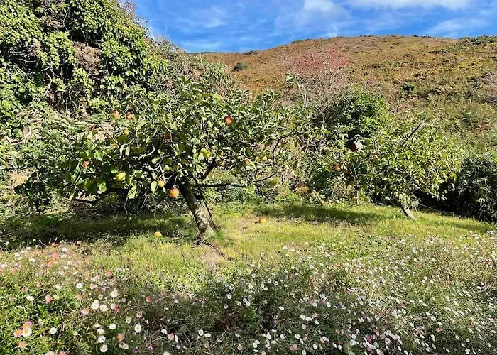 Prázdninový dům Grande Maison Vue Exceptionnelle *